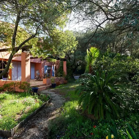 Chez Regine Et Serge * Bandol
